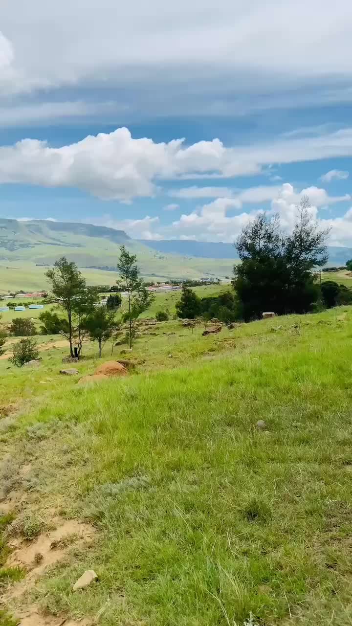 @LM🌸