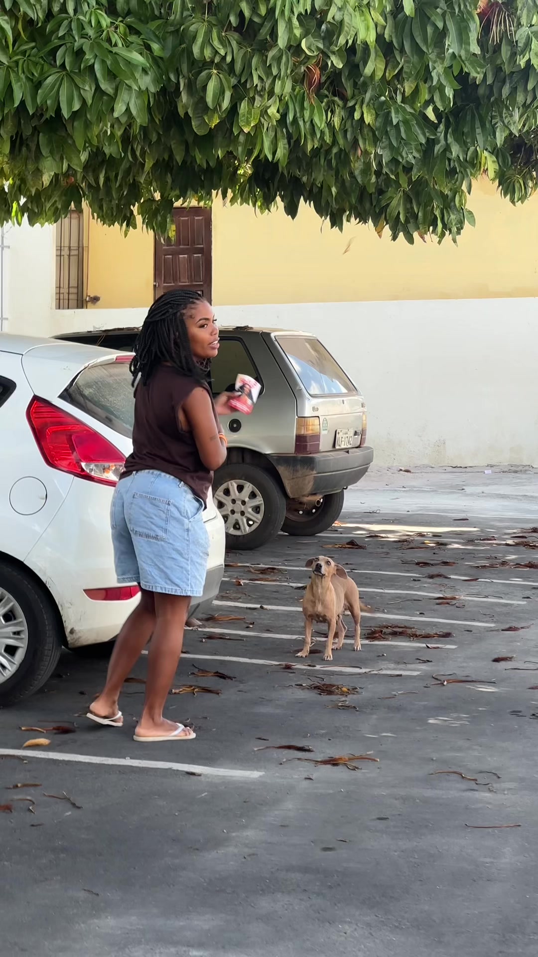 @Vidaltrancista