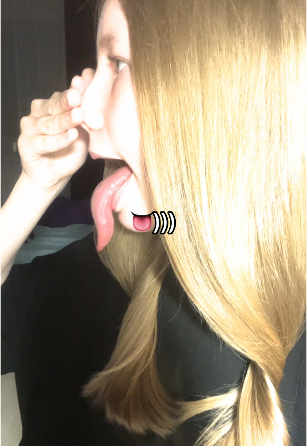 @megapolly