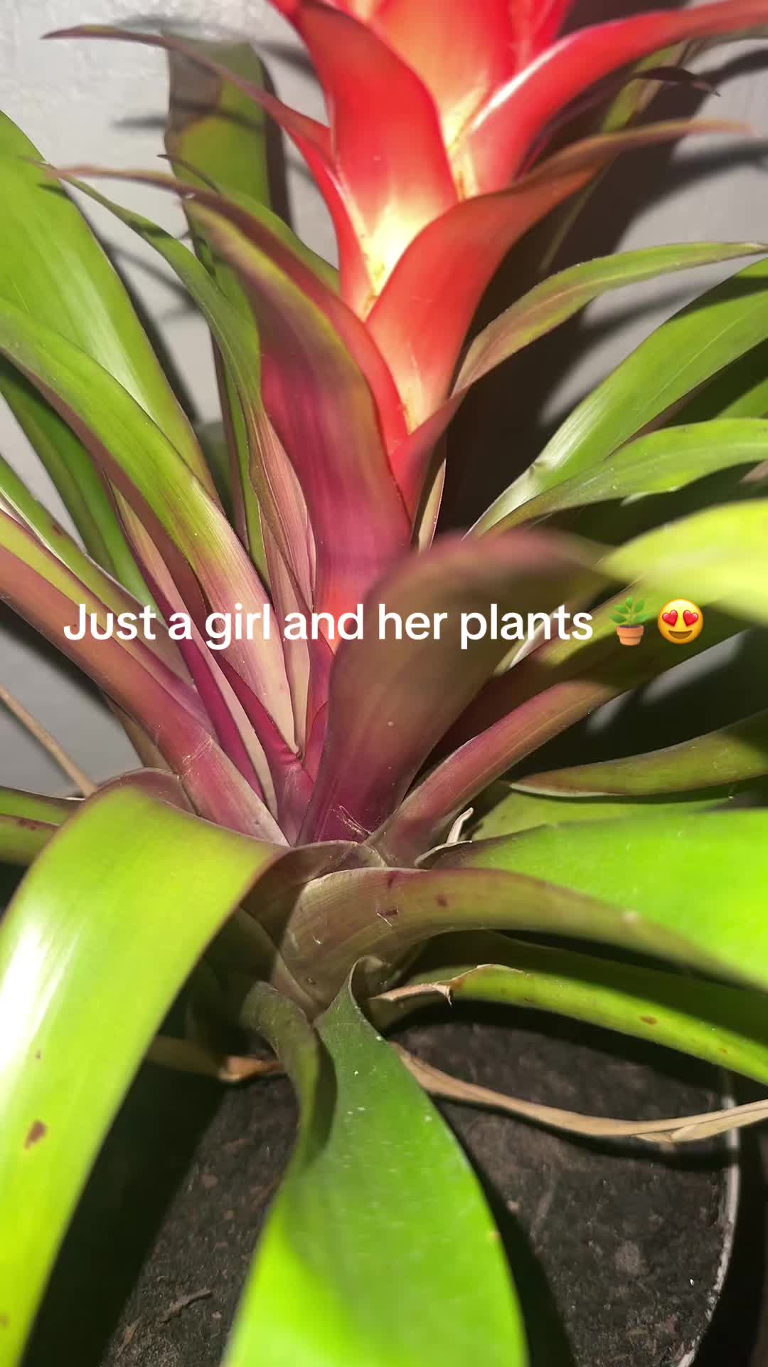 @K123456