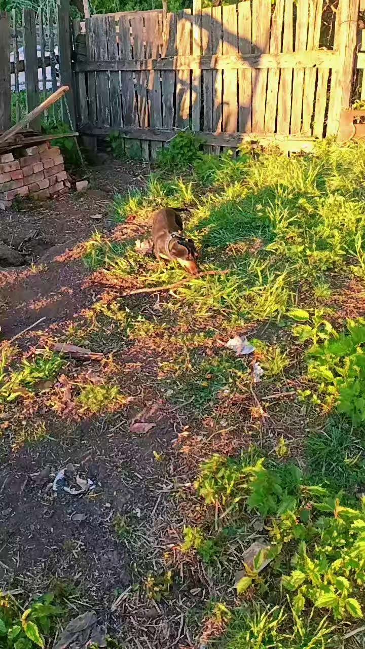 @Крутая Сельчанка