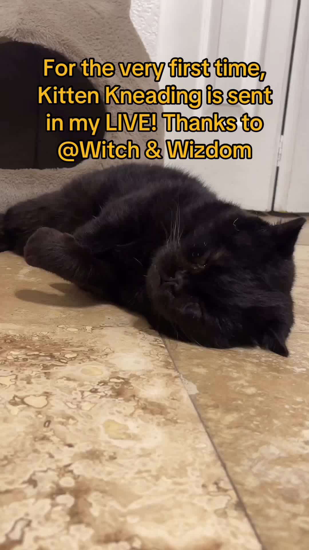 @Meow Meow