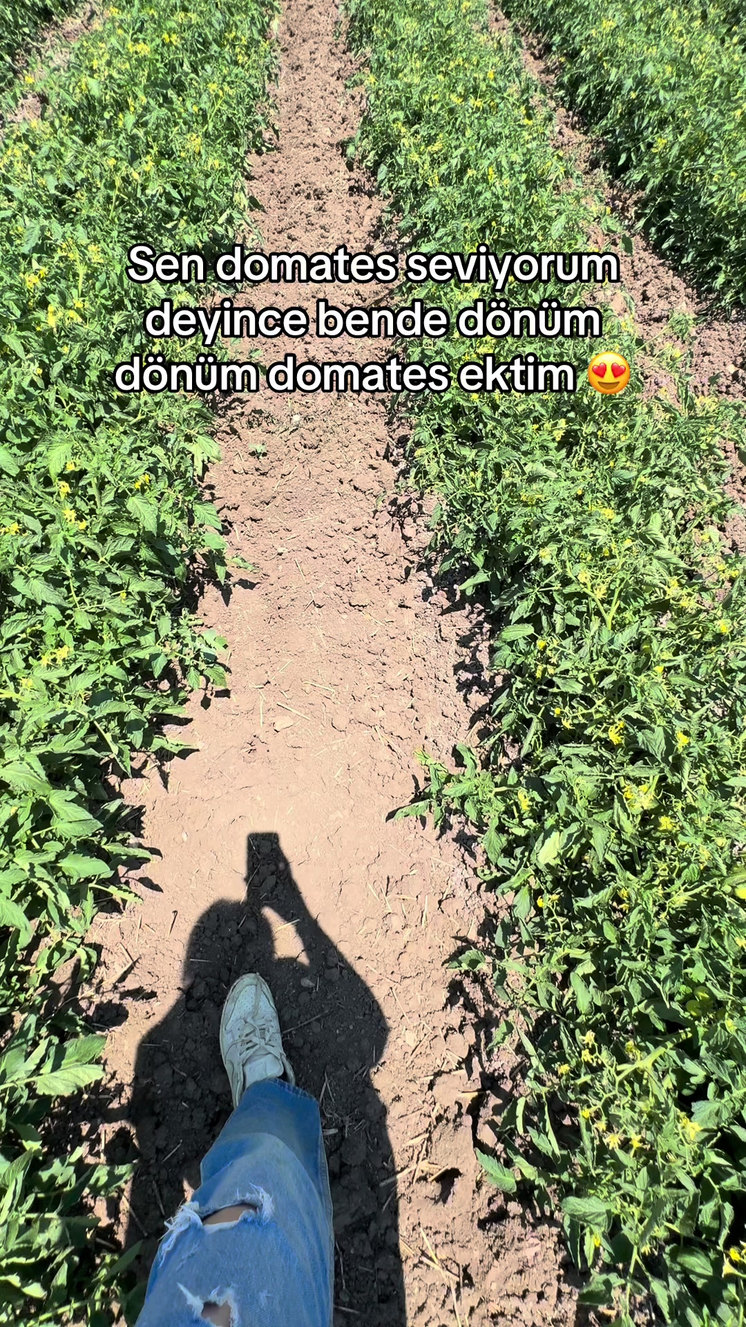 @gozde
