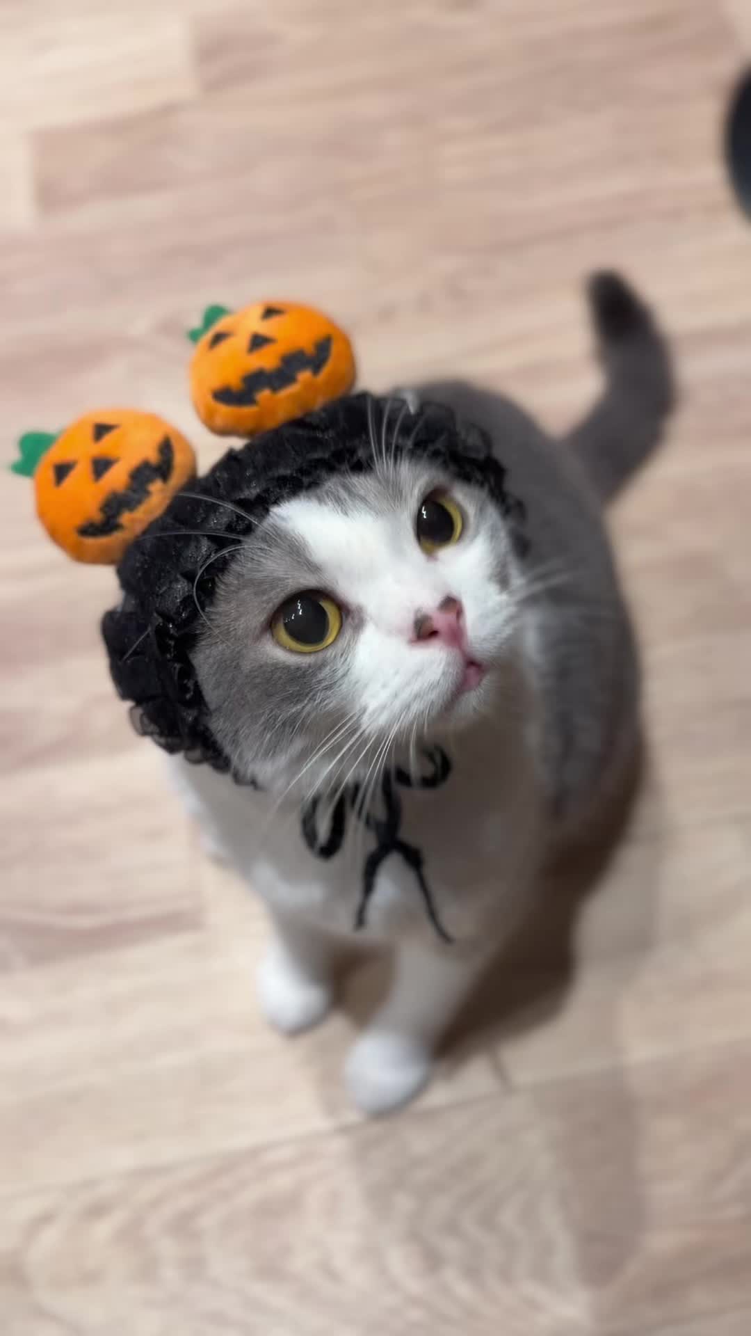 @ラブリーデイ
