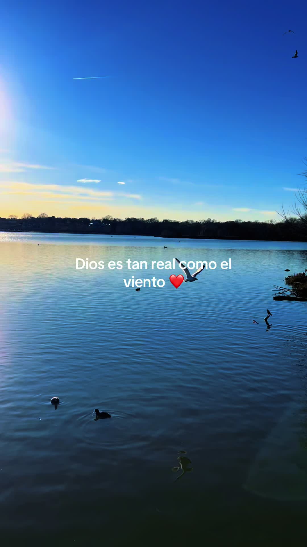 @🦋Mimi🦋Solis 🦋