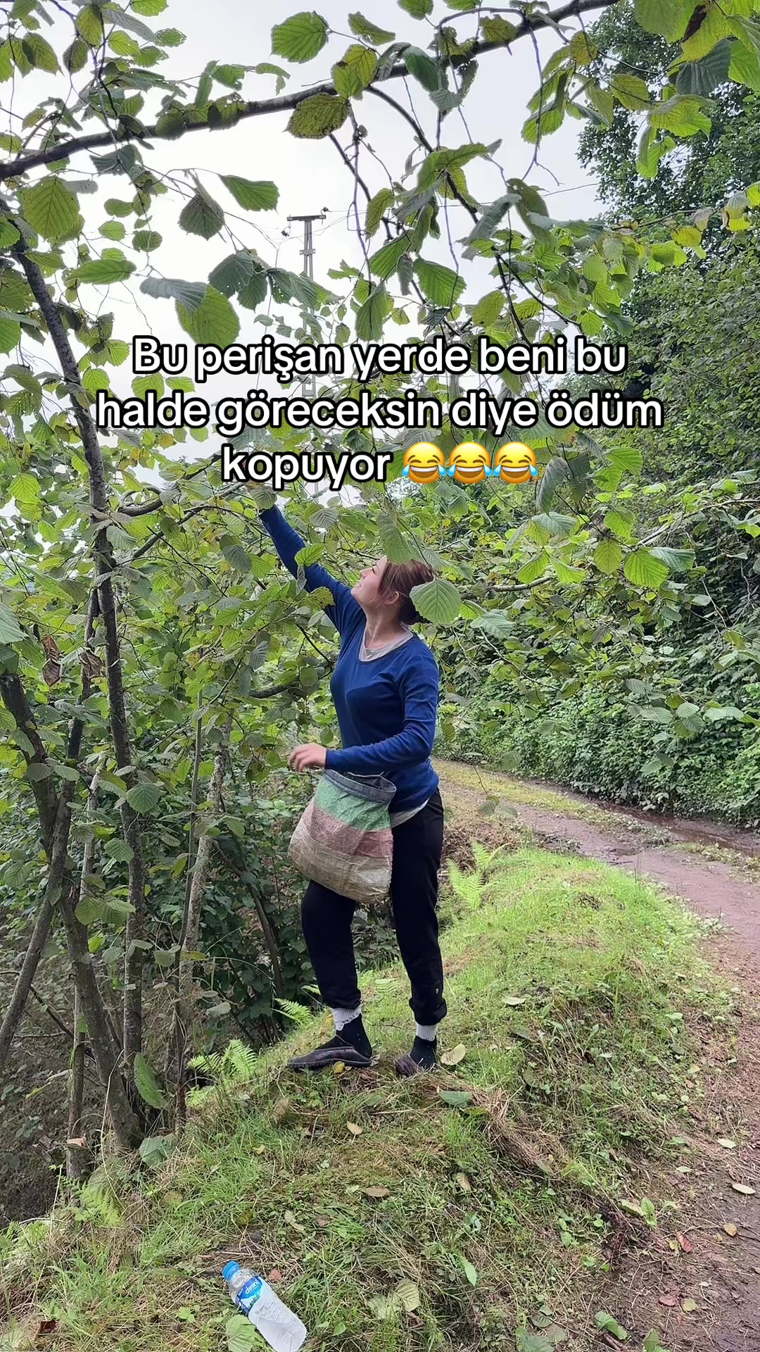 @neslihanadnr