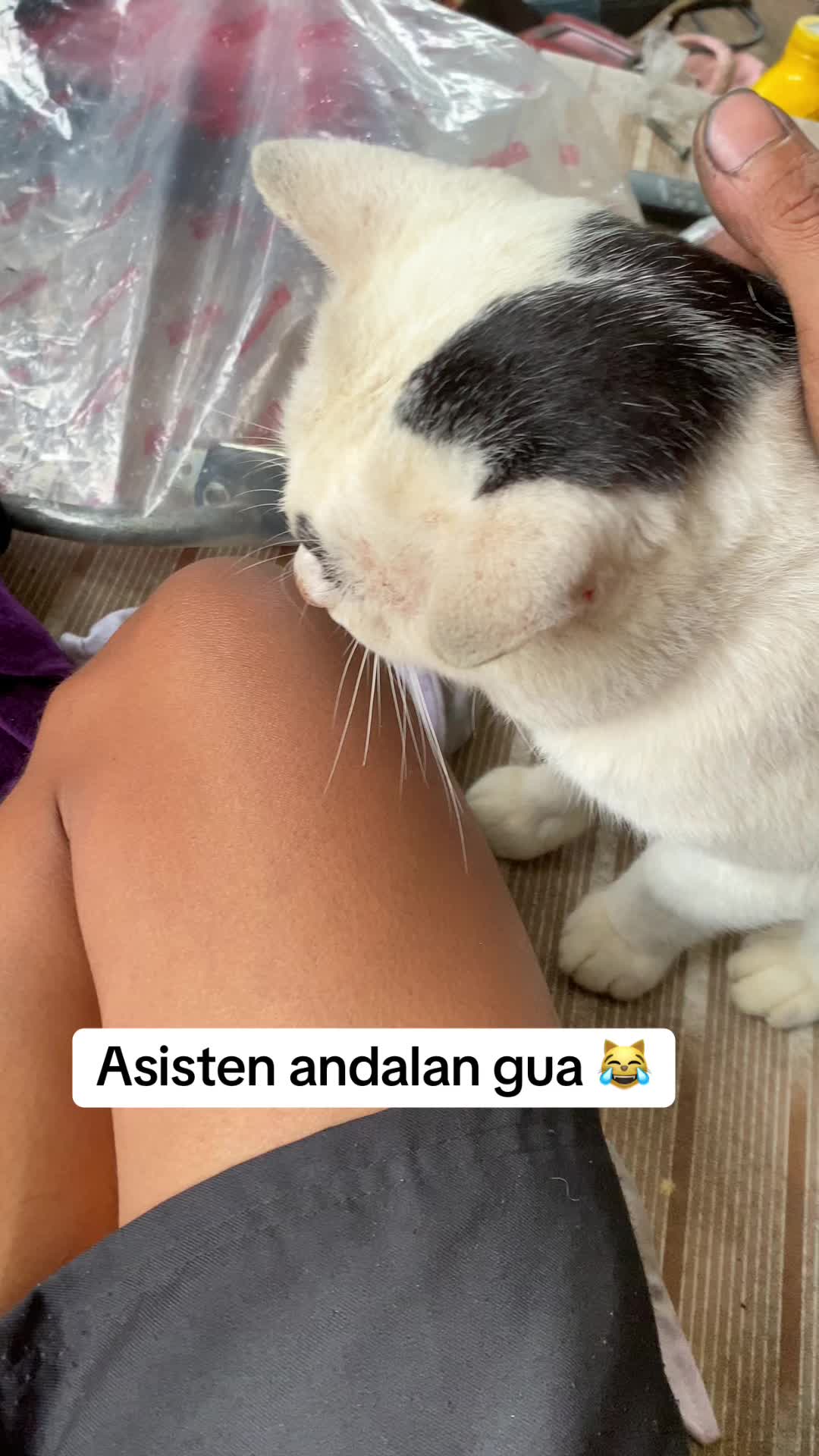 @Alwi Prima Nanda