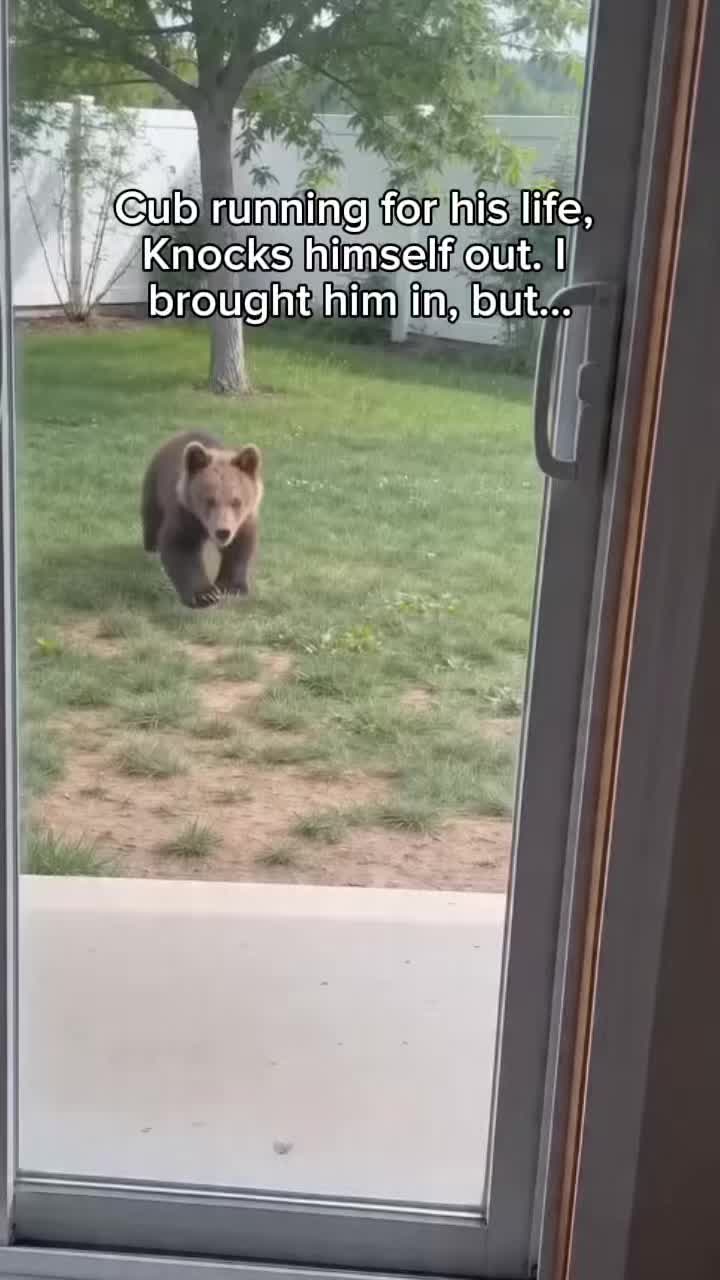 @StoriezTold 🐶
