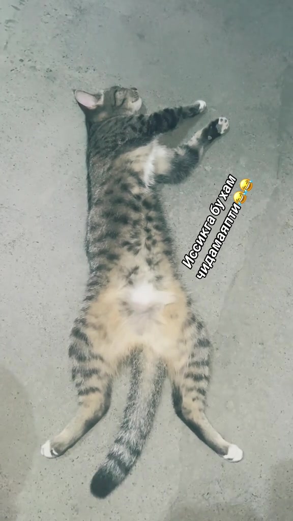 @๐ค๐คGULI_QIZ ๐ค ๐ค๐๏ธ๐ผ