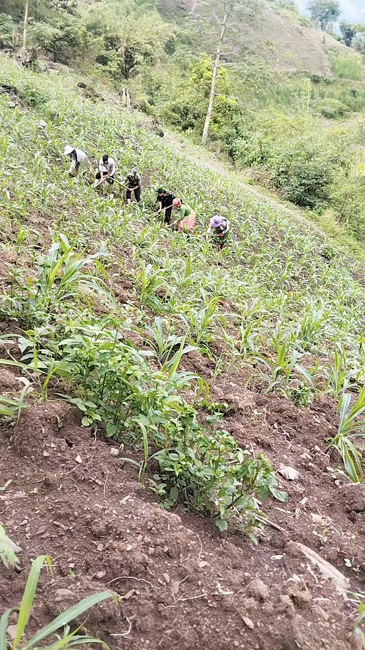 @b&agrave; x&atilde;