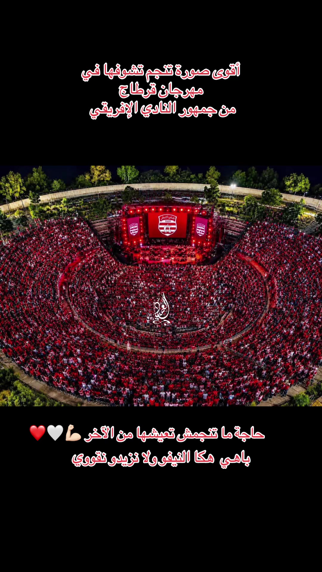 @⚜️⚔️العميد⚔️⚜️