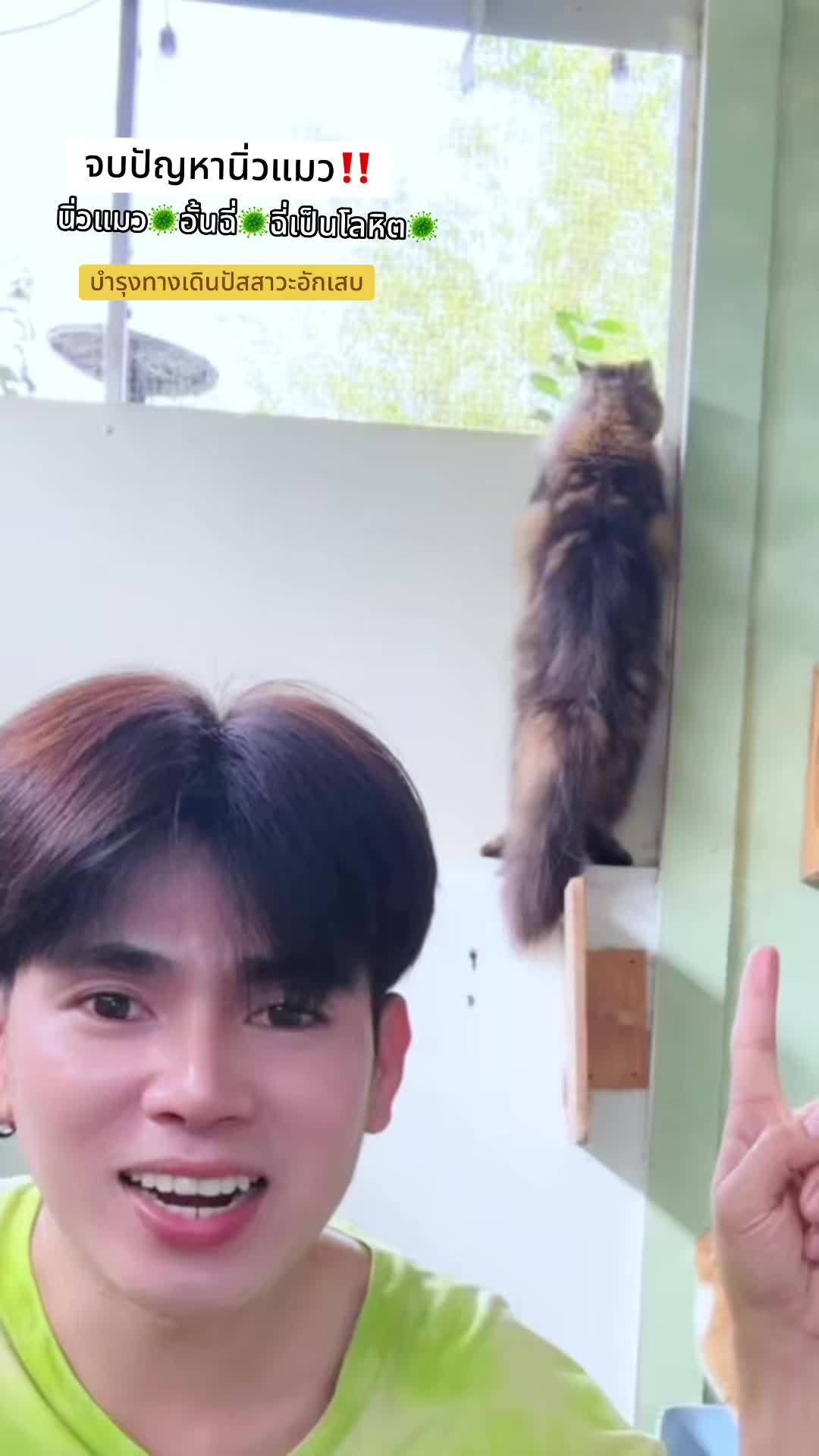 @ตาต้น กับลูกๆทั้ง20ตัว🐈