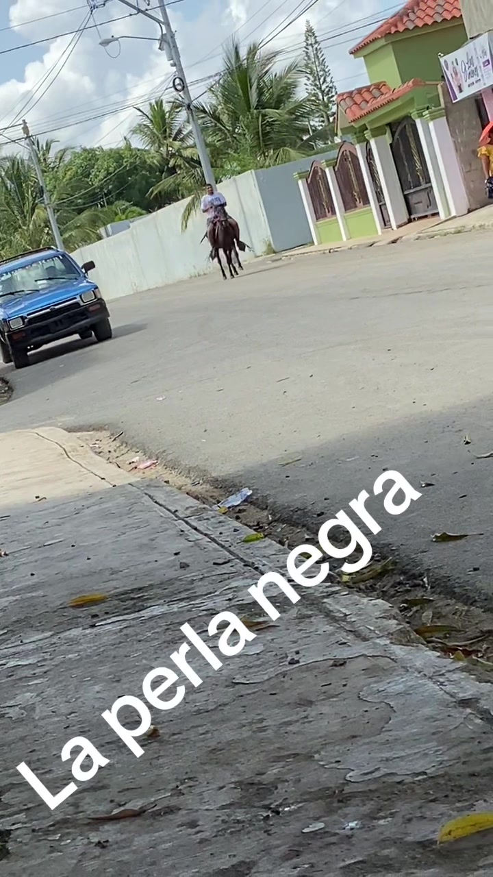 @El tal caballista ese 🤠
