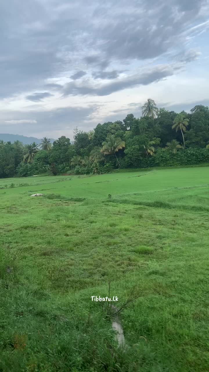 @Thibbatu.Lk