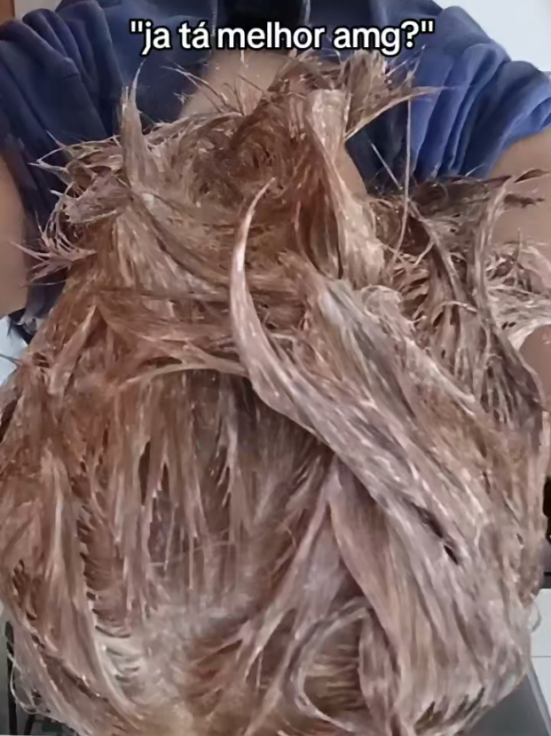 @papaléguas