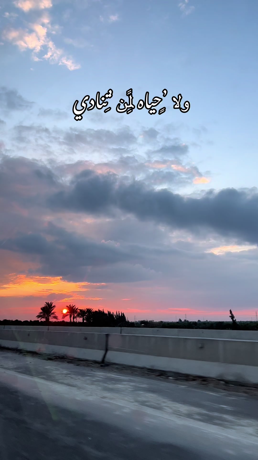@✨ مــحــمـ👑ـد|𝑀𝓸𝓱𝓪𝓶𝓮𝓭✨