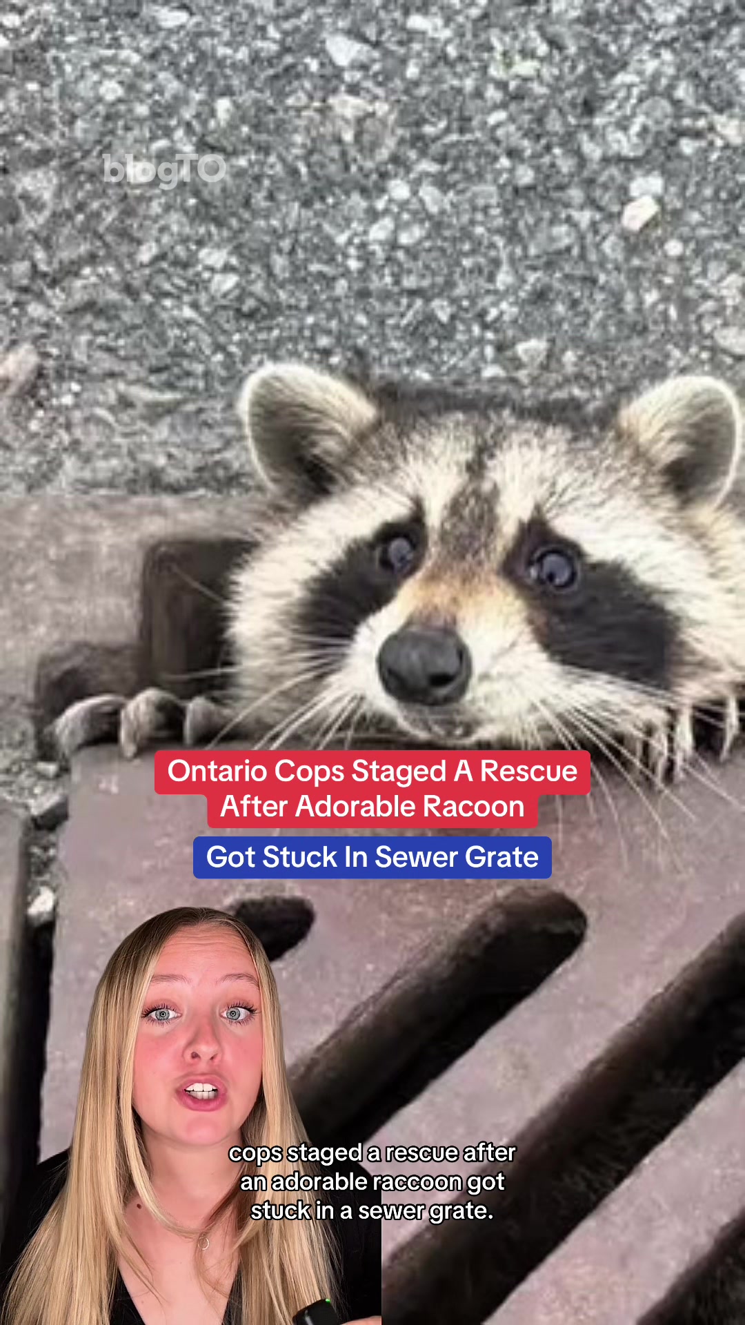 @blogTO