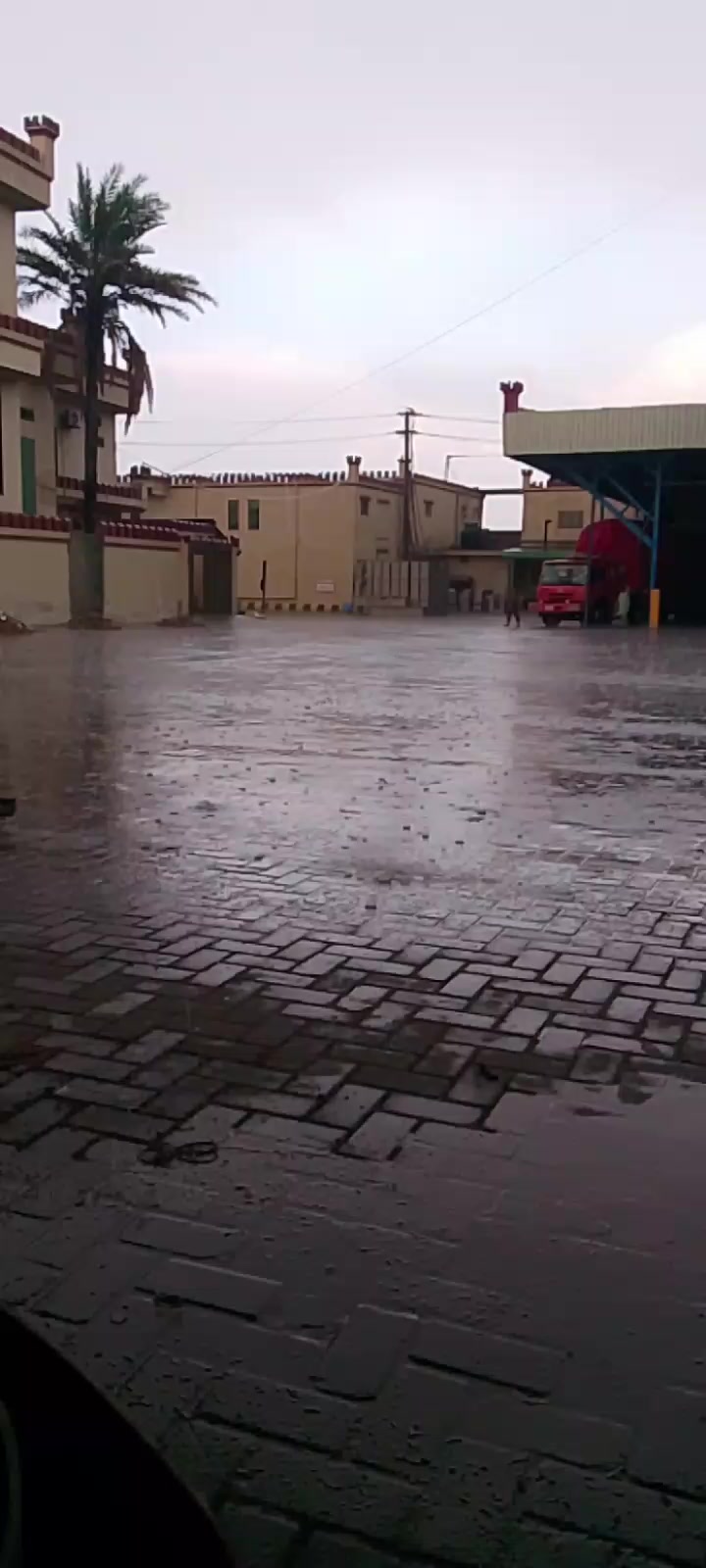 @ransshahid472