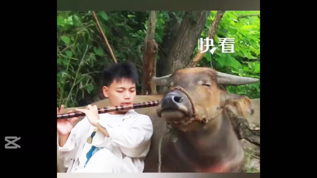 @liujiangyu