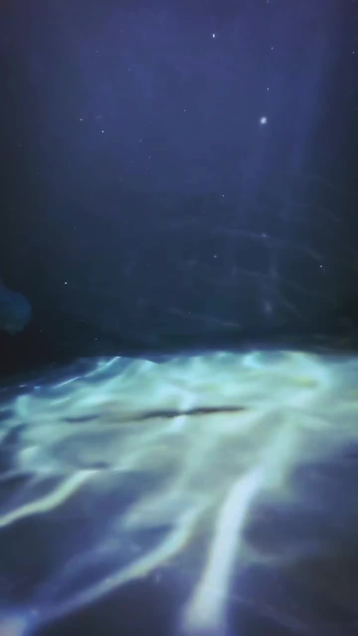 @PandaТ_Т