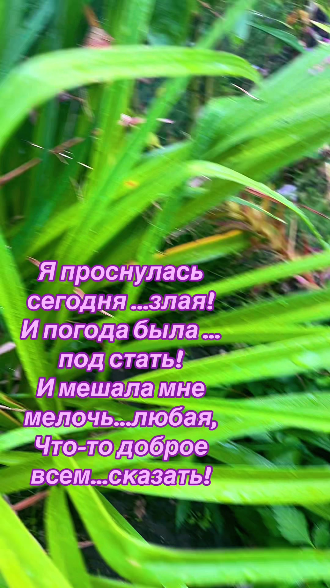 @🩵🦋𝒌ᵒ𝘮a🦋🩵
