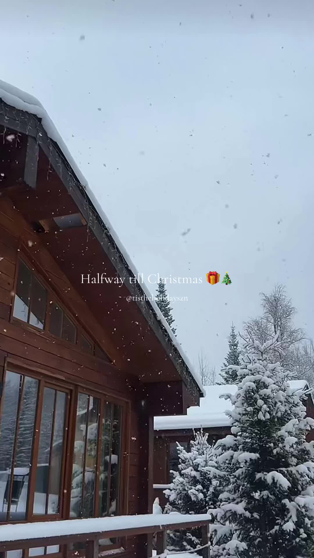@Christmas Vibes❤️🎄