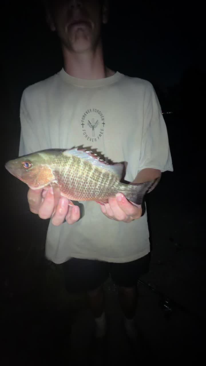 @IA Fishing