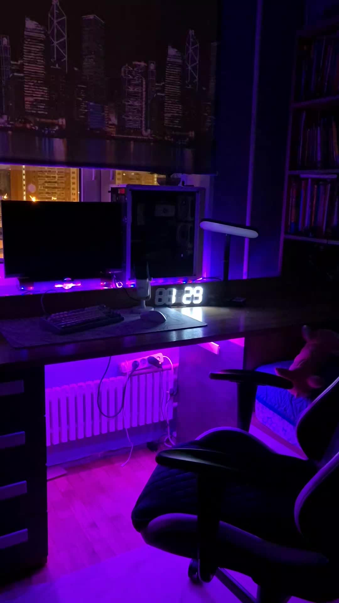 @jogiwod🫟
