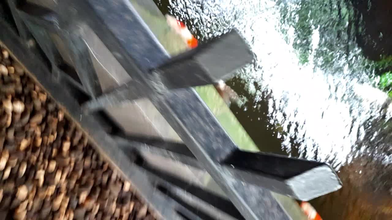 @• BINTANG KOI •