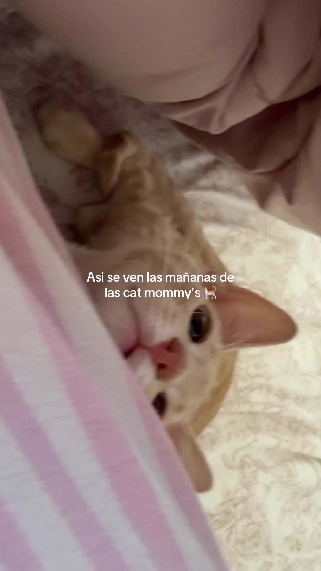 @Julieta Araujo