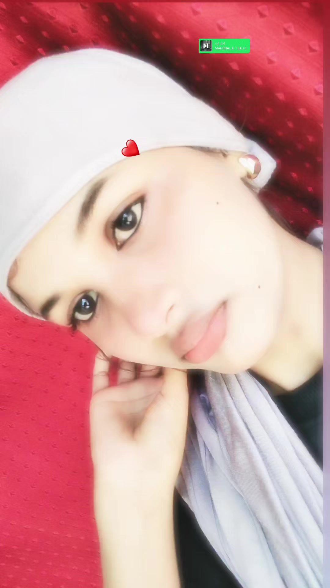 @Šhahiba ♡°