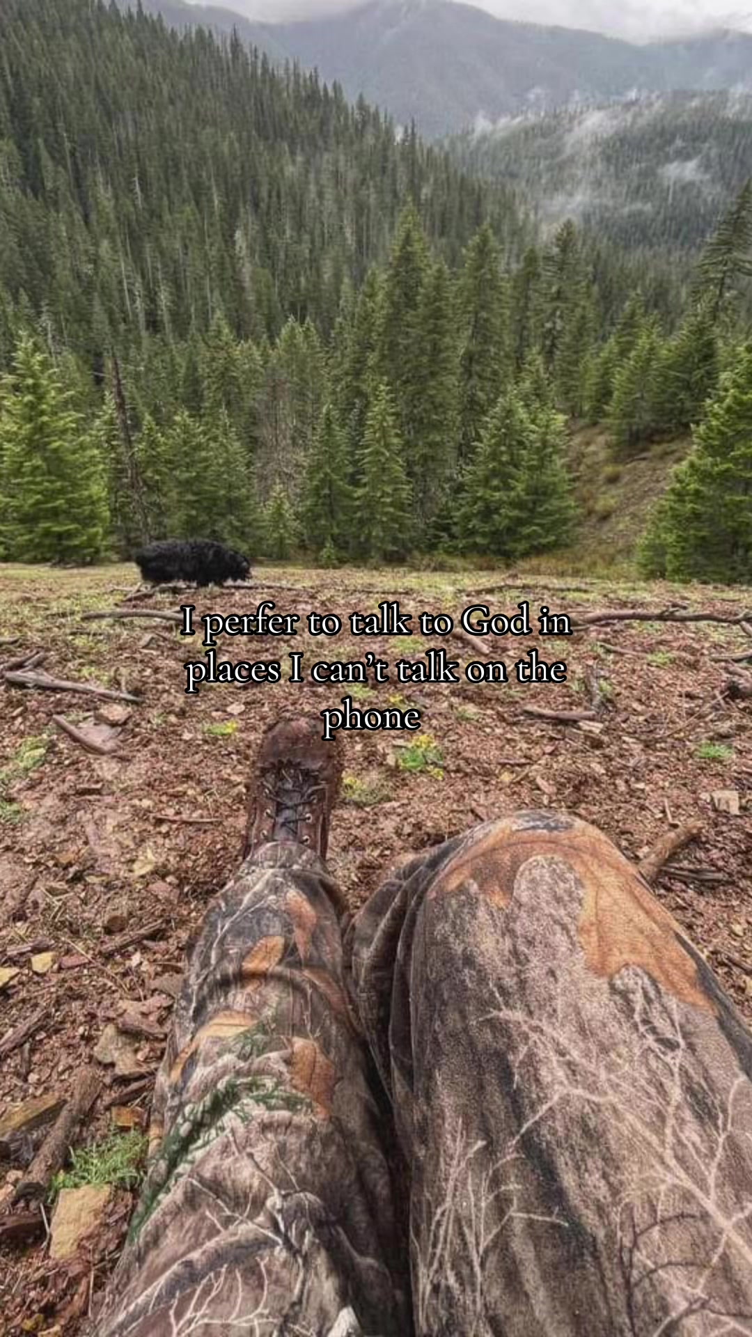 @🫎🦋Cam🌻🦌