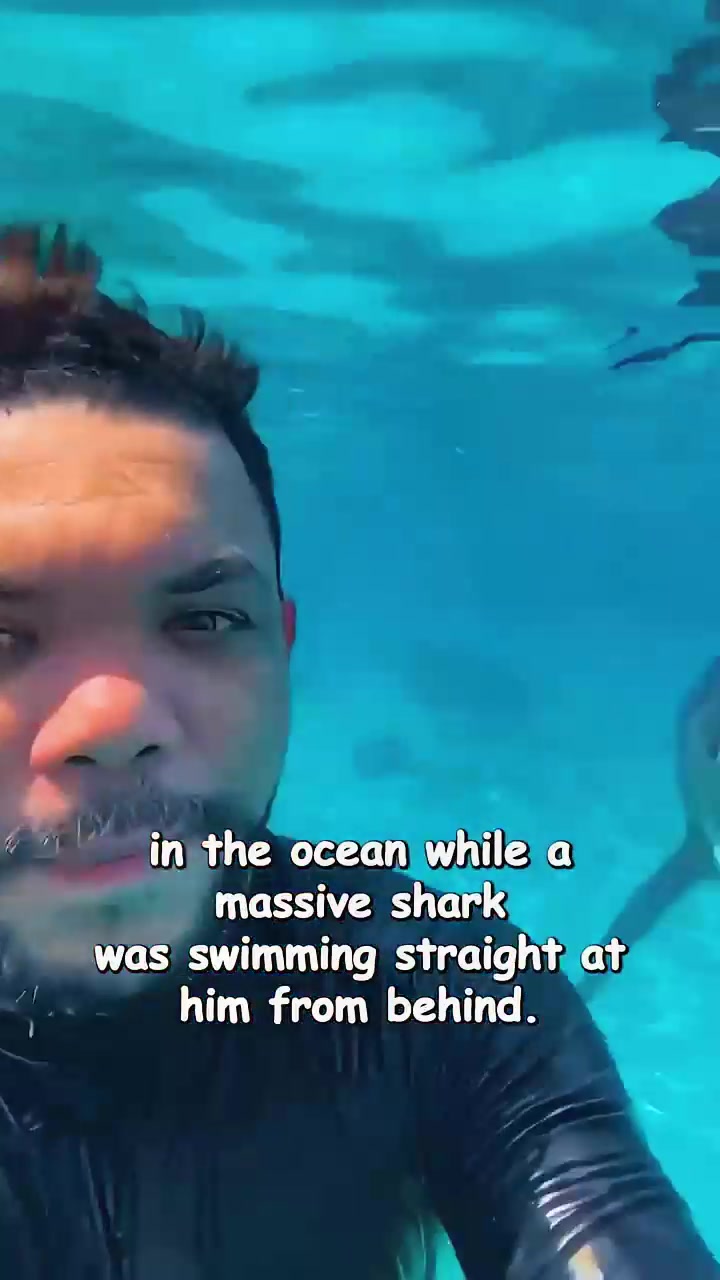 @sharkabcabc