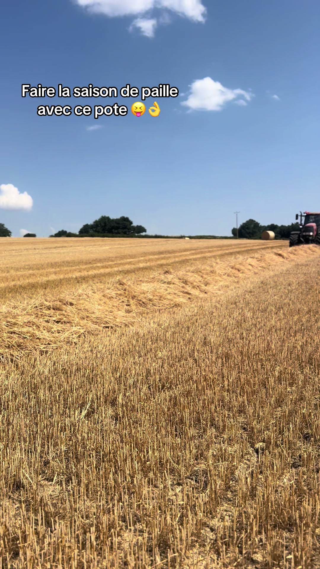@La ferme en folie 🚜💨🌾