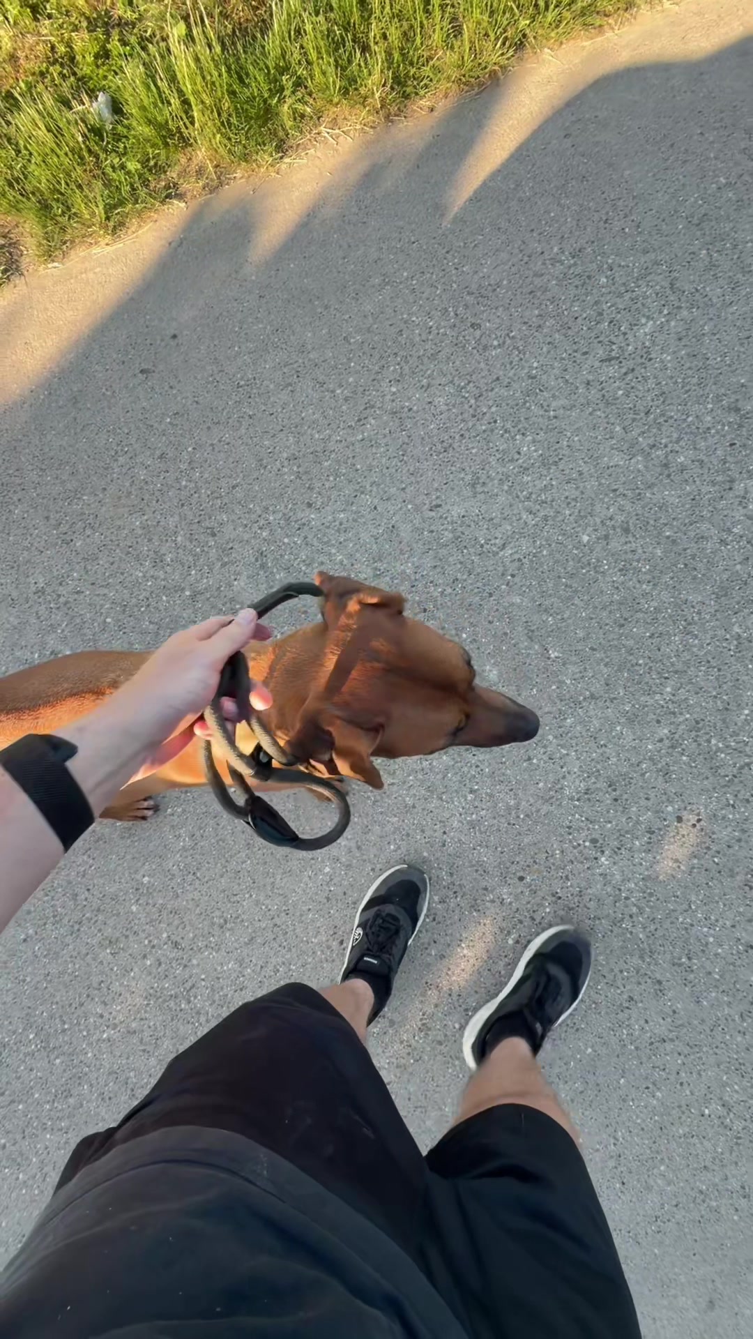 @Ridgeback Diaries