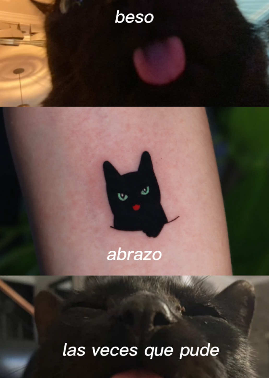 @SHARI TATTOO