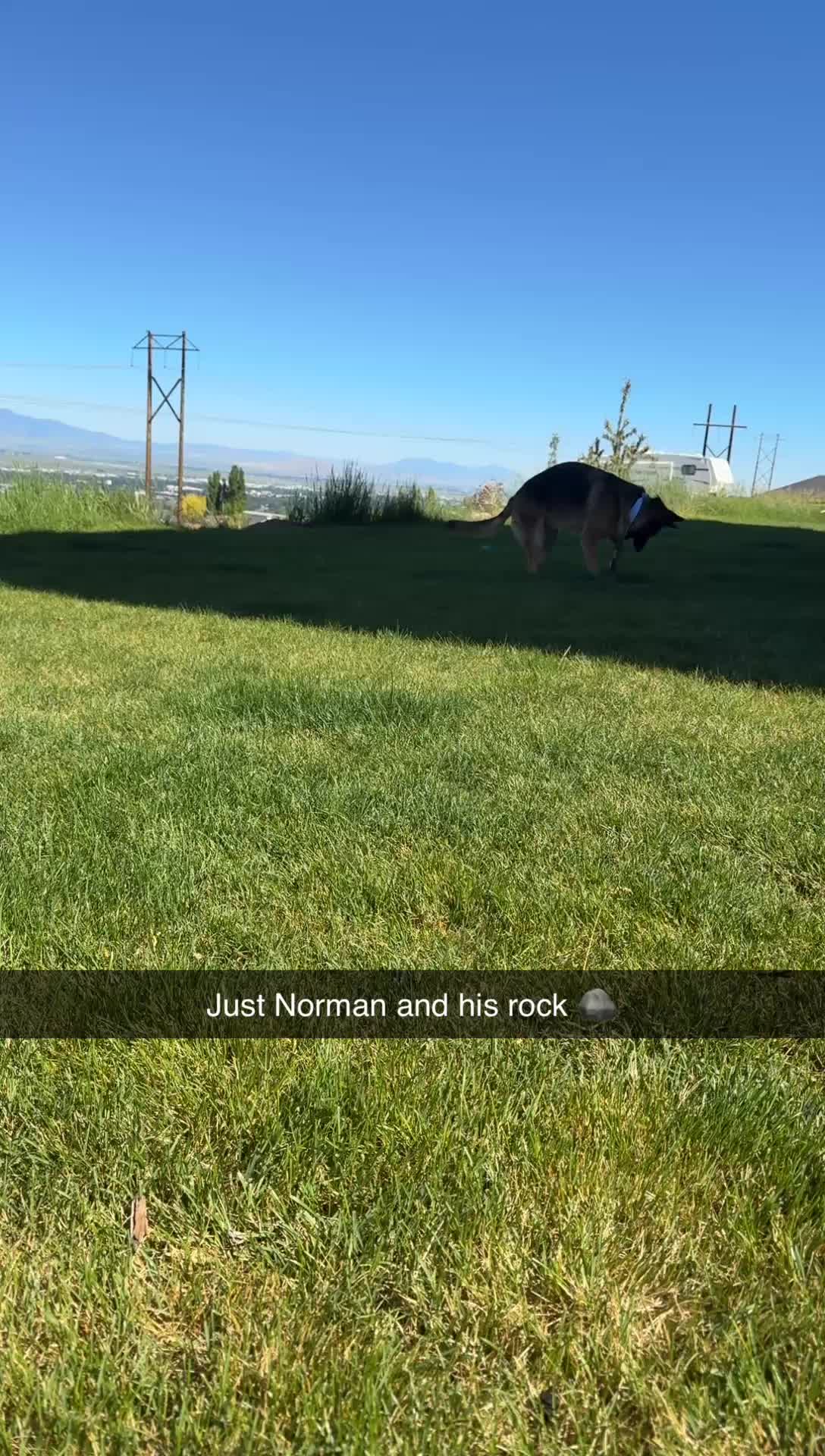 @kodi_1517
