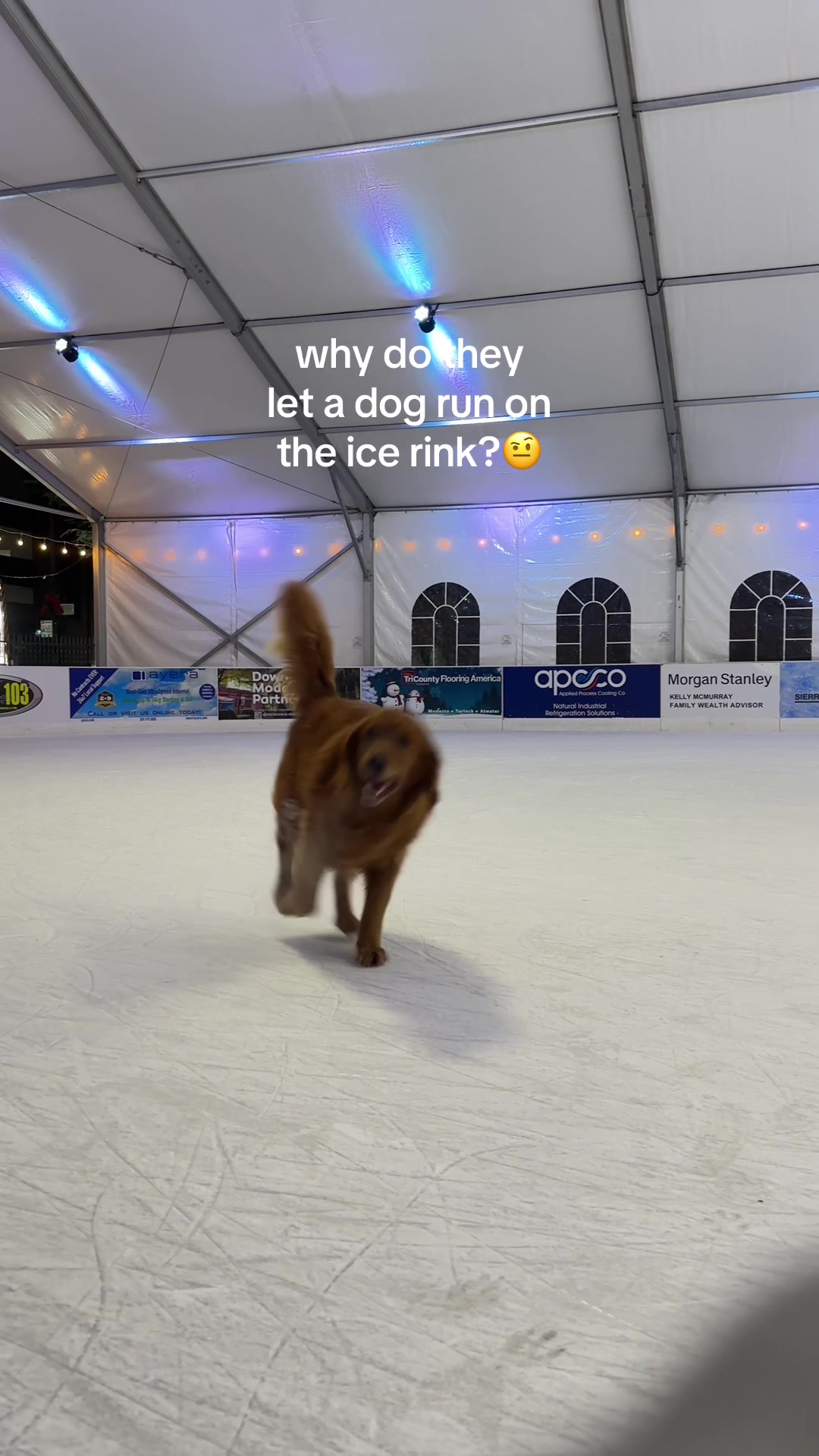 @ModestoOnIce