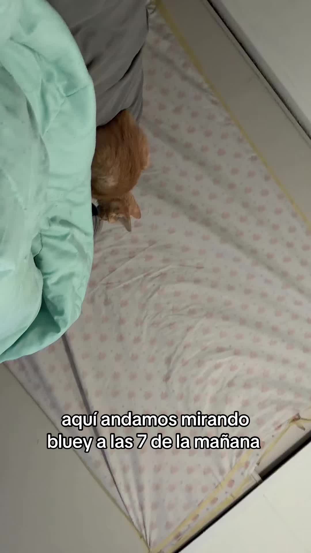 @michelleee❦