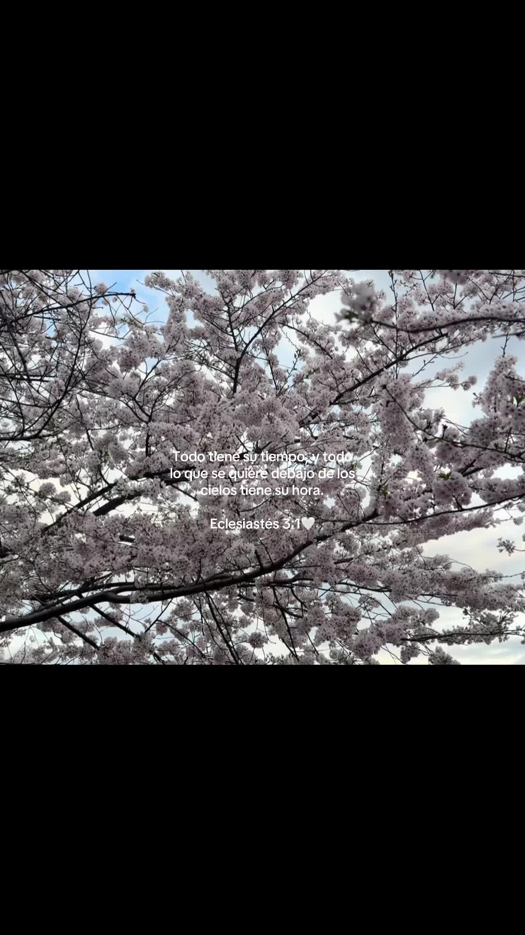 @𝔱𝔦𝔪𝔶