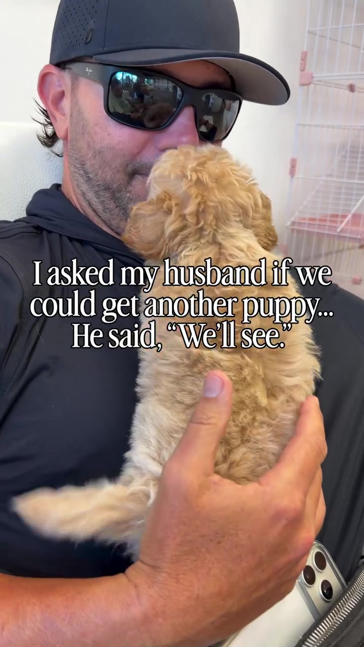 @Paradise Puppies🐶
