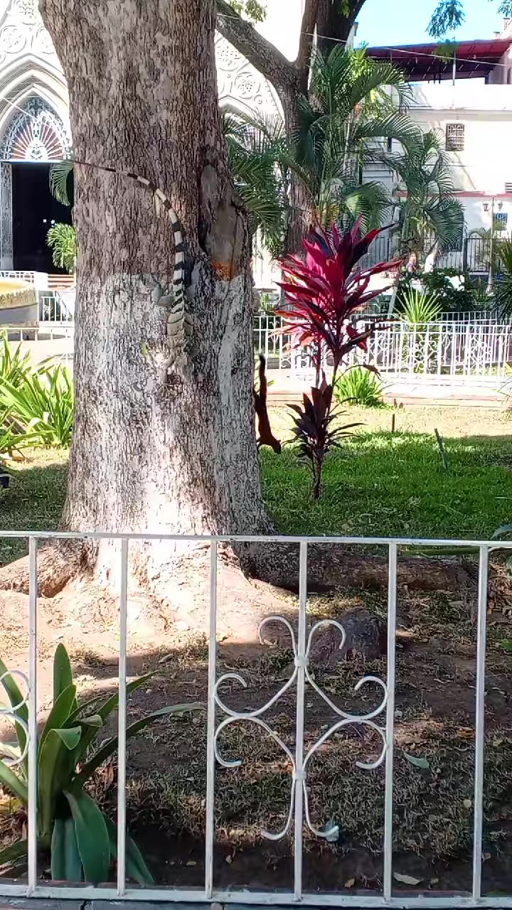 @Mi chiquita