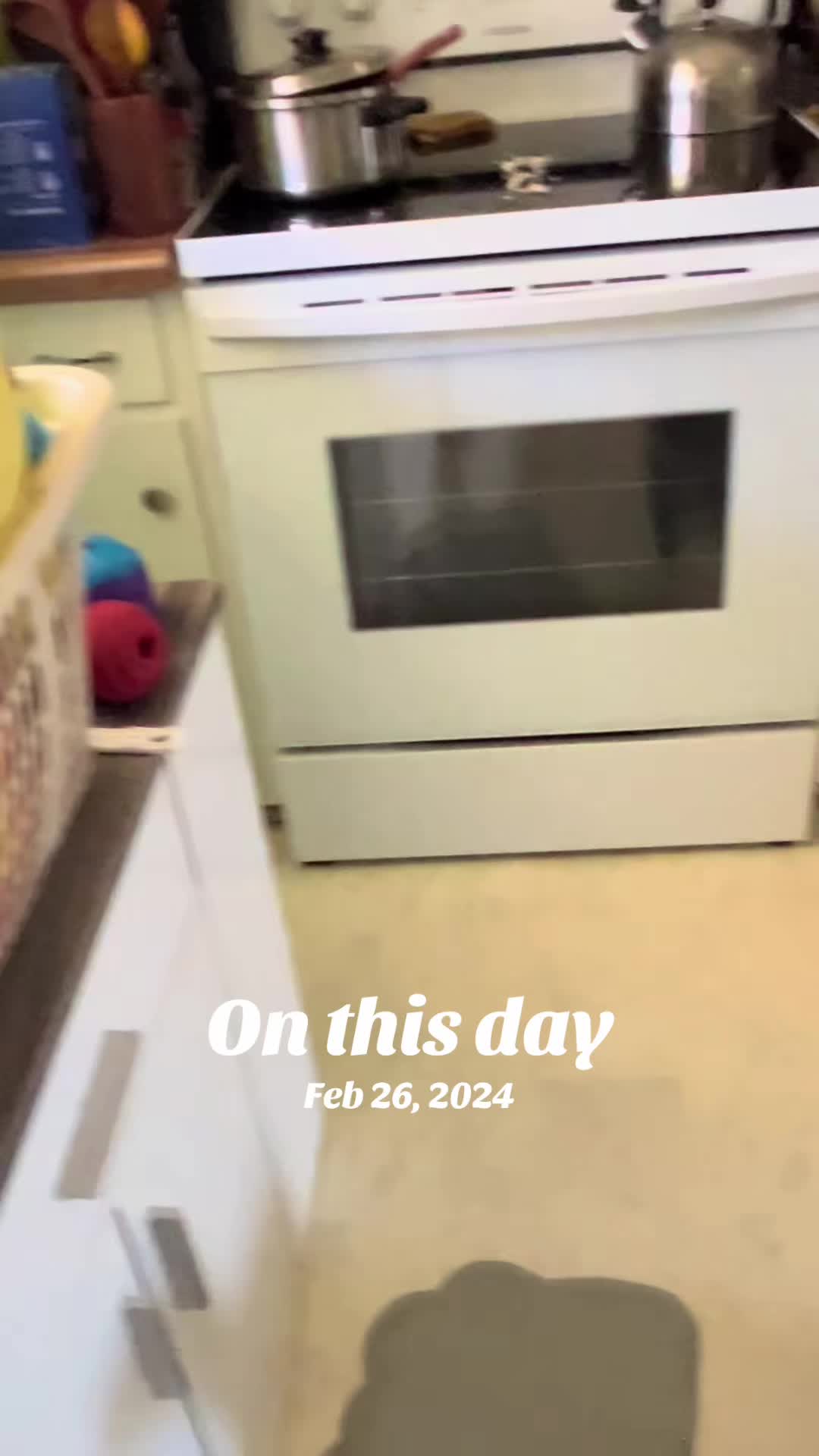 @snickers_and_sidekick