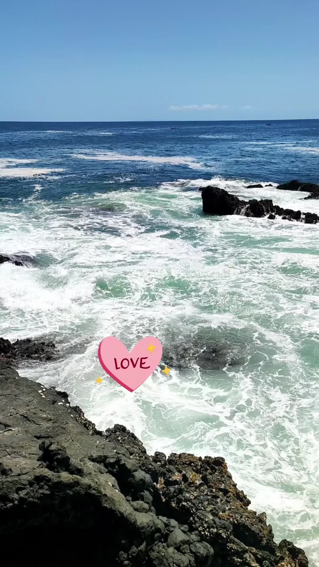 @rosa74