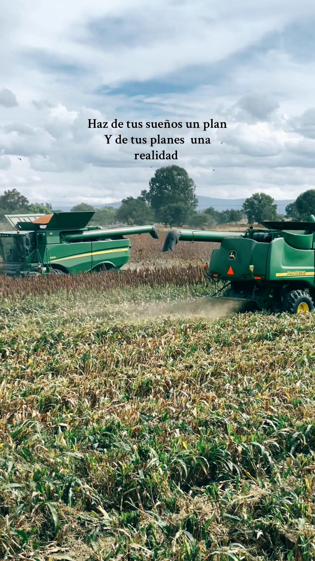 @el_menor_04