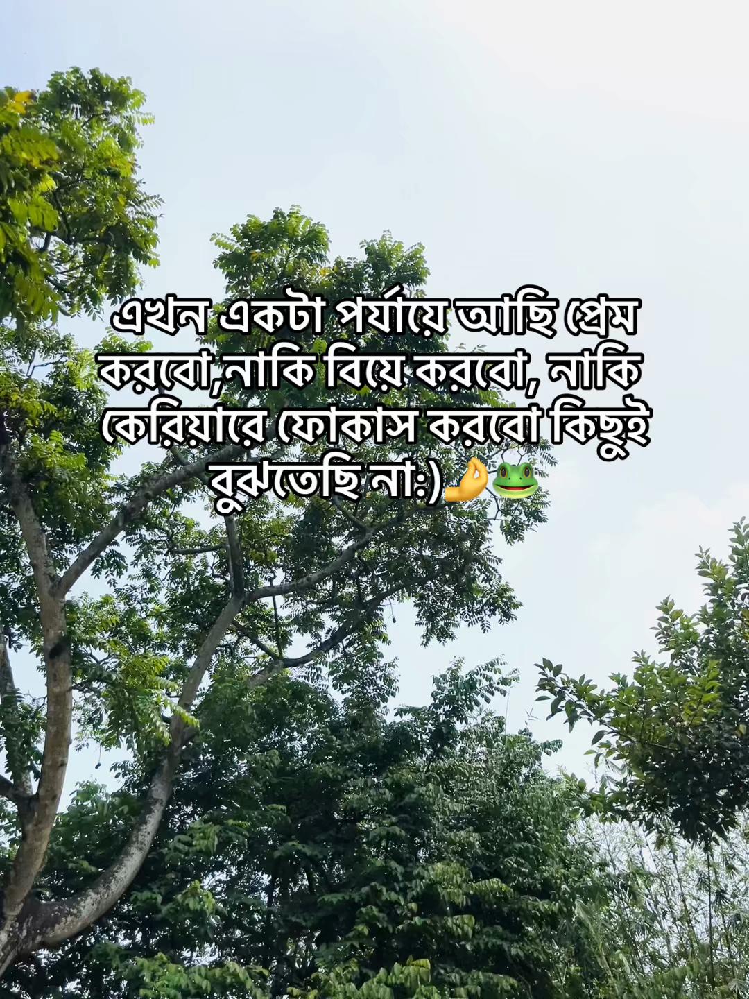 @💫 ⸻𓆩ꜱᴇɴɪᴏʀ ᴘᴏᴏᴋɪᴇ𓆪⸻ 🍒🦋