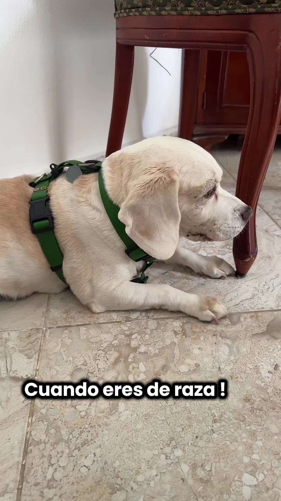 @lavida_unviaje