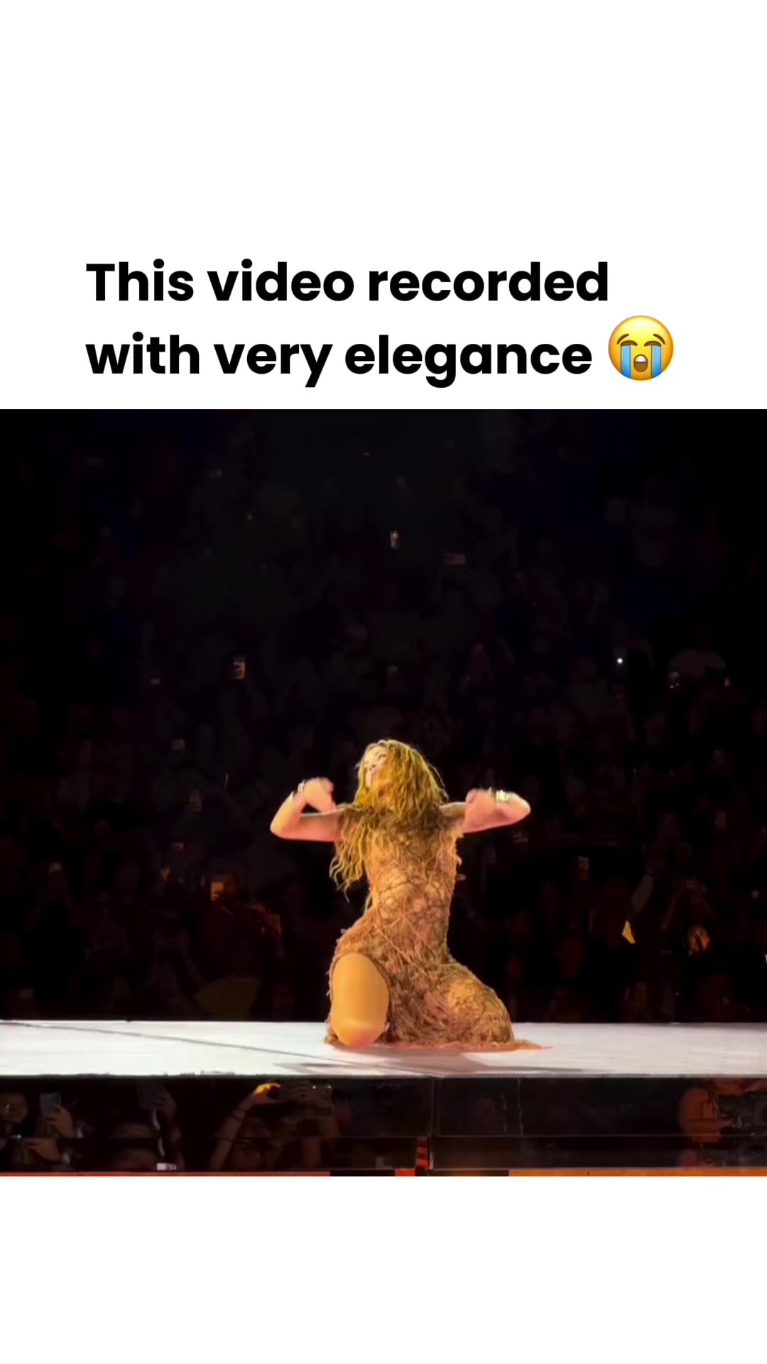 @MemePlug