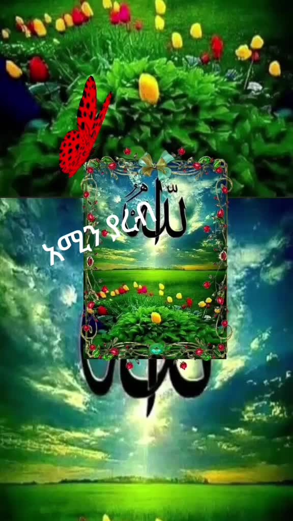 @AMINA BANT SEAD