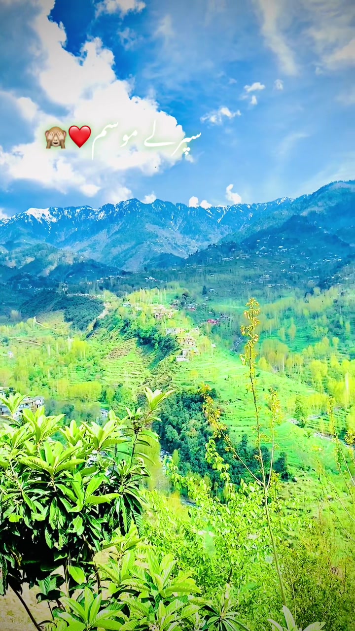 @(علیZEBخان._offical. )